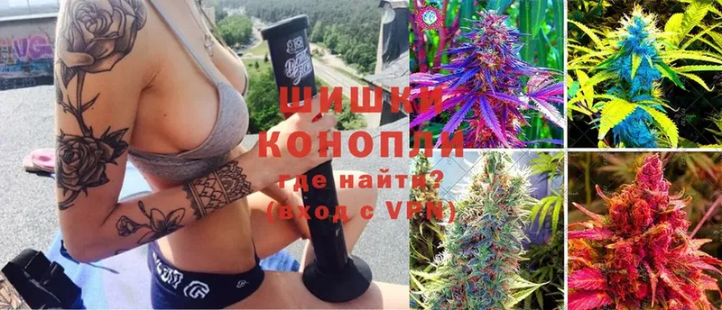 Каннабис Bruce Banner  Воронеж 